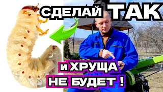 СДЕЛАЙ ТАК и Хрущей не будет! ПРОВЕРЕНЫЙ МЕТОД