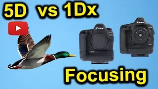 Canon 1dx Mark II vs 5d4 Focus Test Through The Lens