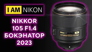 Nikon nikkor 105mm F1.4E ED на z6 Бокенатор 2023