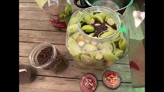 Lacto Fermented Green Tomatoes