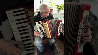 Weltmeister accordion, 3/4 accordion, 80 Bass, 34 keys, 3 voices, 5+3 registers, Original Case, SALE