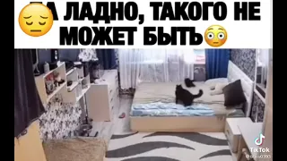 кошка заправляет постель