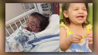 Idaho baby transported to Salt Lake City after dog attack