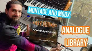Analog Xperience Library for Yamaha Montage/MODX- Analogue goodness!