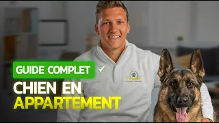 Comment adopter un chien en appartement et quelle race choisir ? GUIDE COMPLET