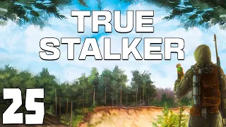 S.T.A.L.K.E.R. True Stalker #25. Провал в Х-16