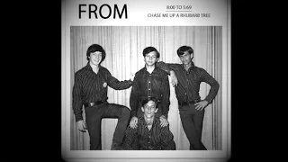 Chase Me Up A Rhubarb Tree Chicago Garage Rock reissue 45