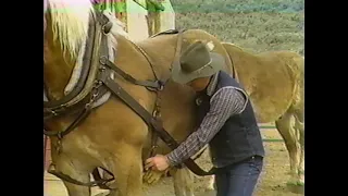 [damaged] Draft Horses Come In Handy! Working Horses For Today's Farm & Ranch | VHS Tape 60fps #vhs