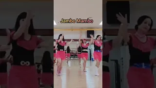 #zellinedance #linedance #dance #젤라인댄스 #라인댄스 #jambo mambo #댄스동호회 #댄스동아리 #도봉구민회관