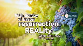 FIFTH SUNDAY OF EASTER | We Are The Fruit & He is the Vine