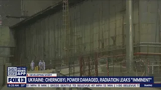 Ukraine's Chernobyl nuclear power plant loses power