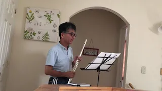 Piazzolla Oblivion flute