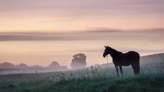 Jonas Aistis - Peizažas (eiles skaito L. Noreika, Lietuvių poezija)