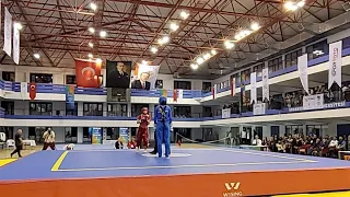 Combat World Cup Wushu