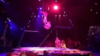 Festival Of The Lion King | Tumble Monkeys [HIGH QUALITY]