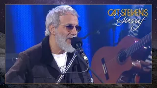 Yusuf / Cat Stevens - Where Do The Children Play? (Viña Del Mar Festival, Chile 2015)