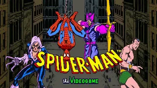 Spider-Man: The Video Game / スパイダーマン (1991) Arcade - 4 Players [TAS]