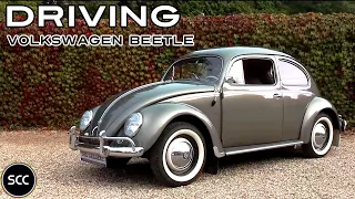 VOLKSWAGEN BEETLE DE LUXE OVAL 1957 - Kever Käfer Bug - Drive in top gear - VW Engine sound | SCC TV