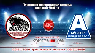 23.04.2023 ЧЕРНЫЕ ПАНТЕРЫ (Чистополь) - АЙСБЕРГ (Менделеевск) LIVE 10:30, U-13