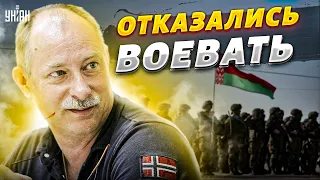 😱Армия Беларуси отказалась воевать в Украине, шокировав Лукашенко - Жданов