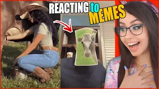 Reacting to HILARIOUS REDDIT MEMES 😂 #4