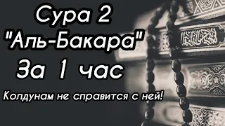 Сура "Аль-Бакара"- за 1 час