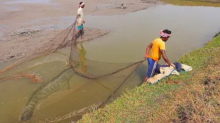 Unique Cast Net Fishing | Catch Lots Of Big Carp Fish Using Net Part 82