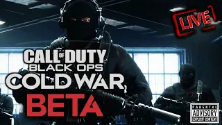 COLD WAR BETA EARLY ACCESS 😈 Best Class Setups | PS4 PRO