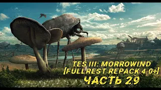 TES III: Morrowind [Fullrest repack 4.0+]📜29. Наставили на путь истинный