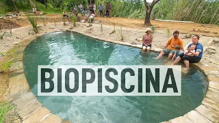 How to build a BIO POOL. Natural pond