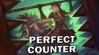 Hearthstone - The Perfect Counter