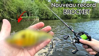 Ce leurre est vraiment REDOUTABLE pour l'ouverture du brochet !!