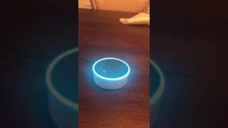 Alexa goes crazy