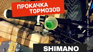 Прокачка гидравлических тормозов Shimano M6000