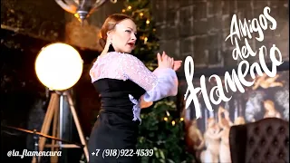 Промо-ролик. Коллектив "Amigos del flamenco" г. Краснодар.