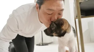 保護犬メイちゃんと暮らし始めました