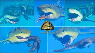 Megalodon Compilation of All Hunting, Kill, Death and Social Animations | Jurassic World Evolution 2