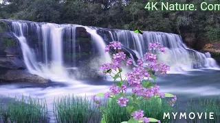 France AMAZING Beautiful Nature with Relaxing Music, 4k Nature. com