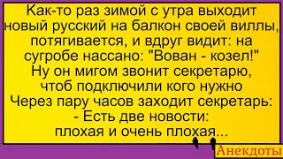 Вован-козел - н@ссали на сугробе... Лучшие длинные анекдоты и жизненные истории 2022