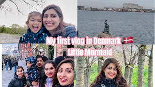 My first vlog in Denmark 🇩🇰 🌸🌸🌸sakura flower sakkio yo barsa ko lagi 😢😢please support me guys 🙏🙏🎈🎈