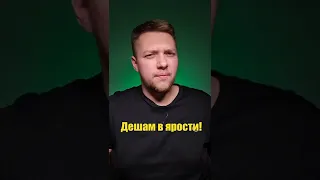 Дешам в ярости