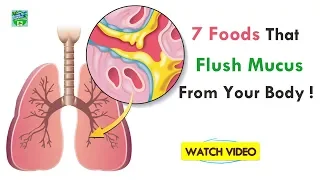7 Foods That Flush Mucus From Your Body | Home Remedies