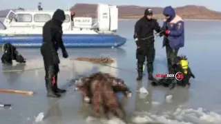 Сколько ещё людей провалится под лёд? В Приморье спасатели вытащили провалившегося под лед рыбака