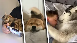 Aww #4 - [Reddit Compilation #63]