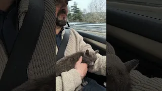 Gigi : première fois sur l'autoroute : rassurée par moi 🥰😍💥🔥❤️💓