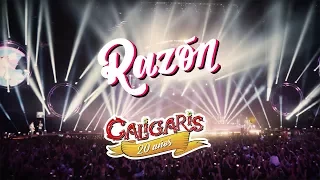 Los Caligaris - Razón (DVD "El show más feliz del mundo")