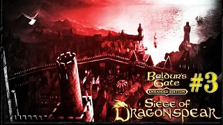 Герцогский дворец — Baldur’s Gate: Siege of Dragonspear Прохождение DLC #3