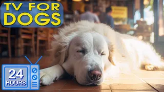 24 HOURS of Best Fun & Relaxing TV for Dogs | Prevent Boredom & Anxiety with Music for Dogs