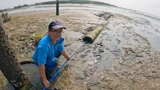 电线杆里住了只大蟹王，渔夫惦记了2年，下决心放大招抓它