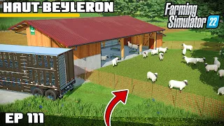 MEGA SHEEP UPGRADE | Farming Simulator 22 - Haut-Beyleron | Episode 111